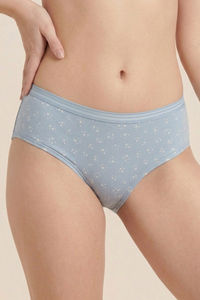 Zivame Regular Rise Full Coverage Hipster Panty (Pack of 3) - Multicolor — thumbnail 13